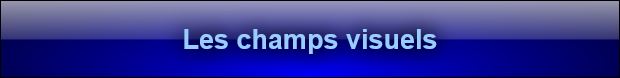 Les champs visuels